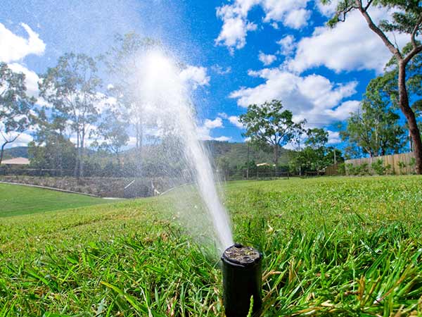 articoli-giardinaggio-lugo