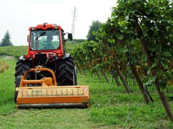 esperti-professionisti-del-settore