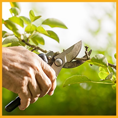 attrezzature-agricole